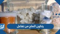 يتكون الملح من تفاعل