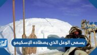 يسمى الوعل الذي يصطاده الإسكيمو