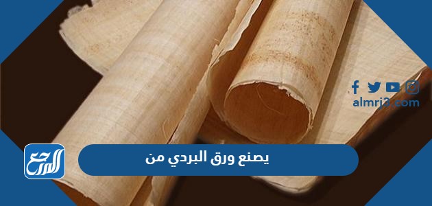 يصنع ورق البردي من