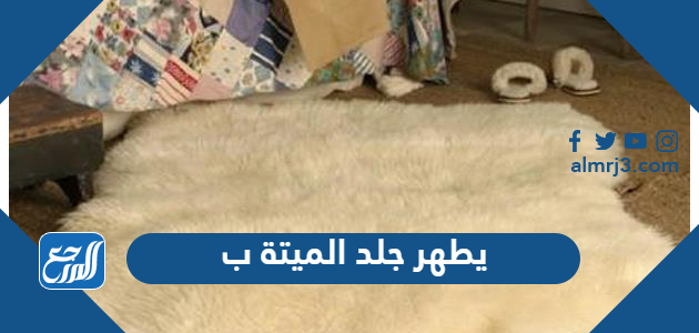 يطهر جلد الميتة ب