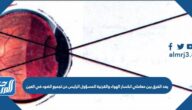 يعد الفرق بين معاملي انكسار الهواء والقرنية المسؤول الرئيس عن تجميع الضوء في العين