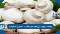 يعد المشروم الذي يضاف إلى المأكولات، كالبيتزا، فطرًا لأنه
