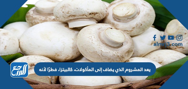 يعد المشروم الذي يضاف إلى المأكولات، كالبيتزا، فطرًا لأنه