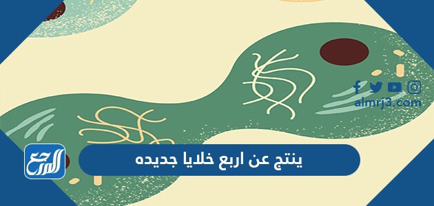 ينتج عن اربع خلايا جديده