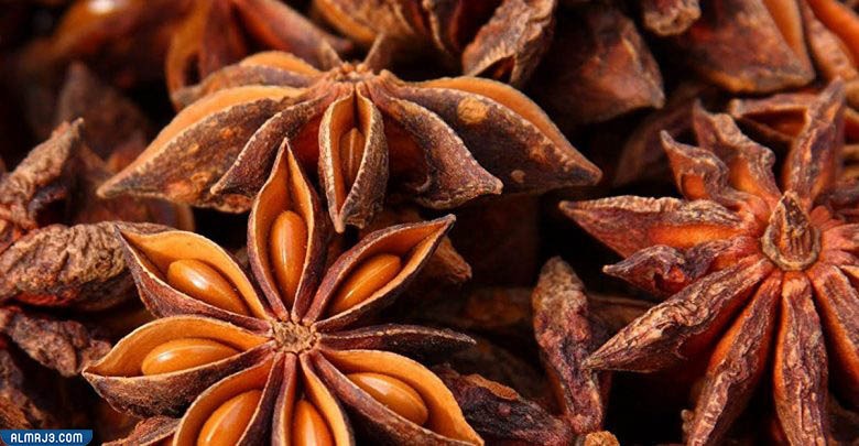 ينسون نجمي Star Aniseed