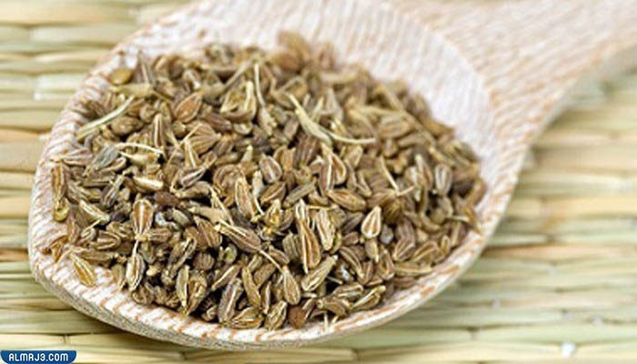 ينسون Anise