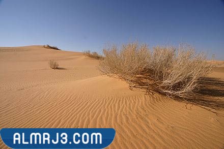 نفوذ الصحراء الكبرى في شمال المملكة العربية السعودية