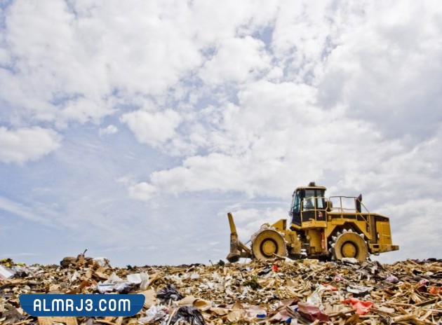 كيف يمكننا الاستفادة من فرز النفايات بيئيا واقتصاديا؟