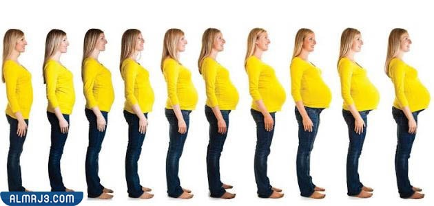 هل الكرش من أعراض الحمل المبكرة؟