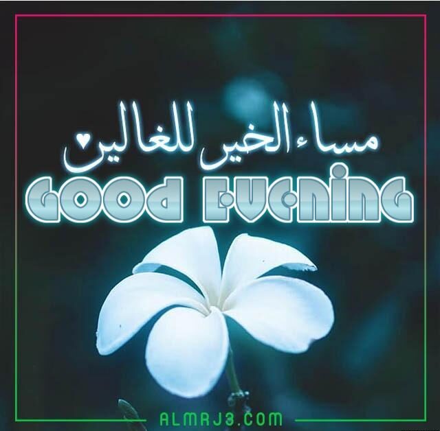 صور مساء الخير بالإنجليزية