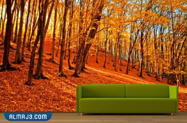 تصاميم ورق حائط 3D للأشجار