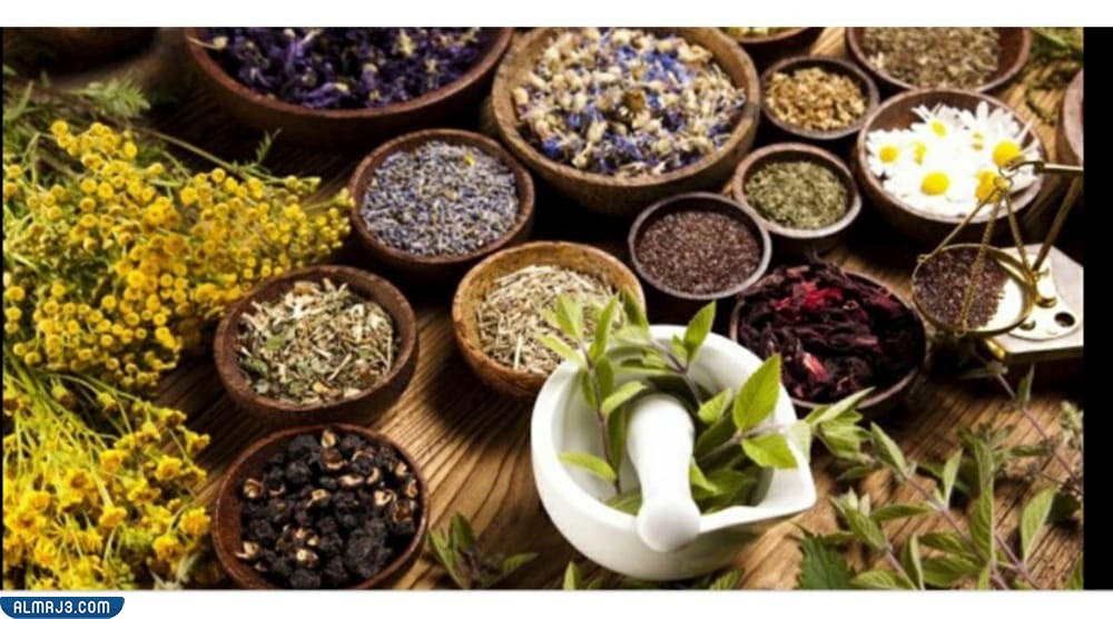 علاج حموضة المعدة بالأعشاب