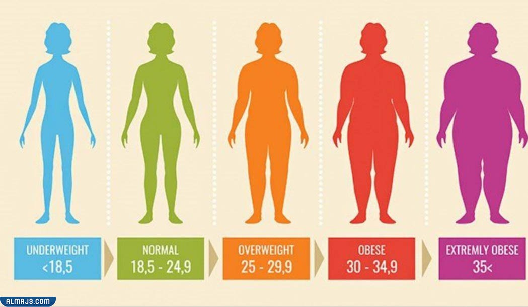 مؤشر كتلة الجسم BMI