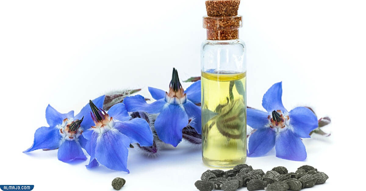 فوائد زيت لسان الثور للجسم