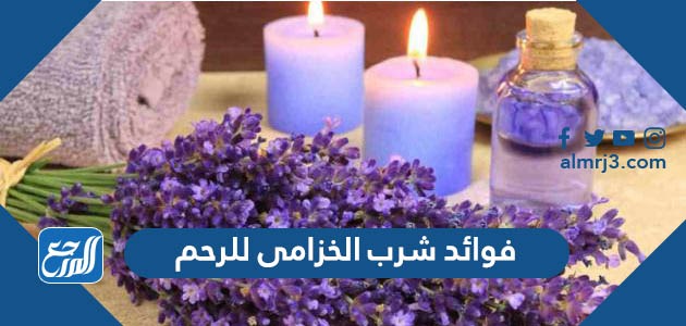 فوائد شرب الخزامى للرحم