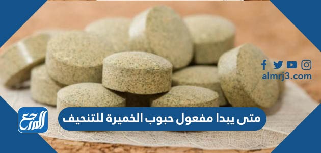 متى يبدا مفعول حبوب الخميرة للتنحيف