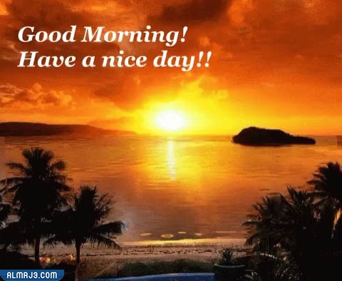 ويش الرد على قود مورننج 