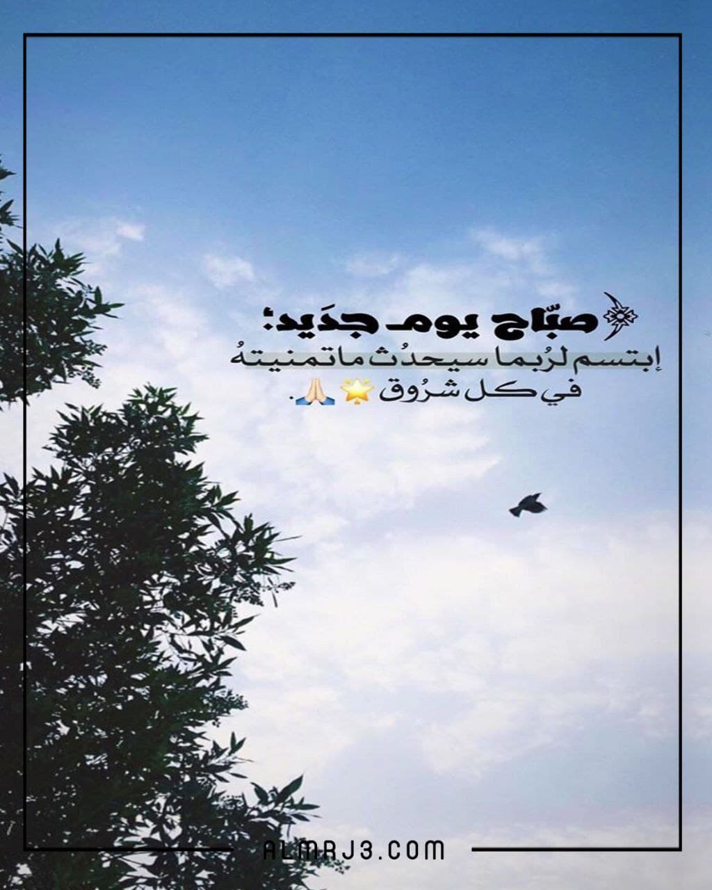 أجمل خاطرة عن الصباح بالصور