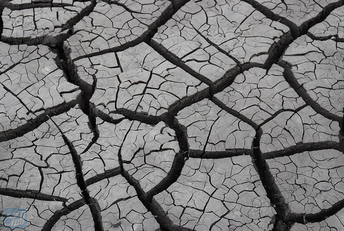 أفضل بلاط للحوش الخارجي