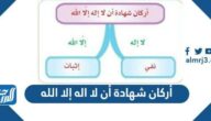 ما هي أركان شهادة أن لا إله إلا الله النفي والاثبات