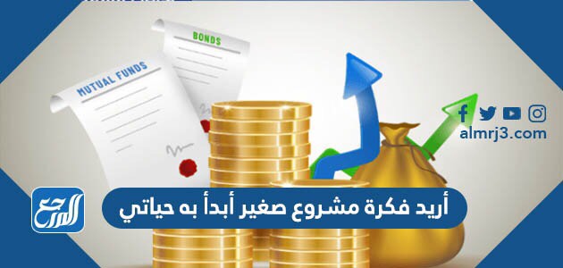 أريد فكرة مشروع صغير أبدأ به حياتي
