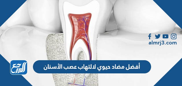أفضل مضاد حيوي لالتهاب عصب الأسنان