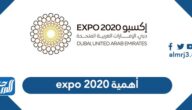 أهمية expo 2020 لدولة الامارات بالعربي والانجليزي