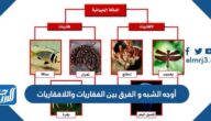 أوجه الشبه و الفرق بين الفقاريات واللافقاريات