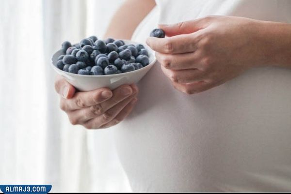 أولًا فوائد التوت البري المجفف بالنسبة للنساء