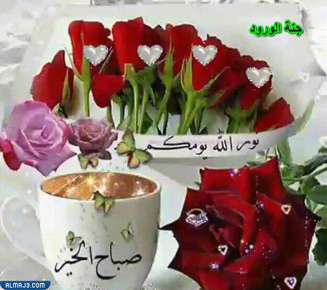 اجمل الصور المتحركة صباح الخير
