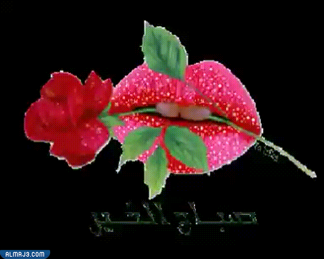 اجمل الصور المتحركة صباح الخير