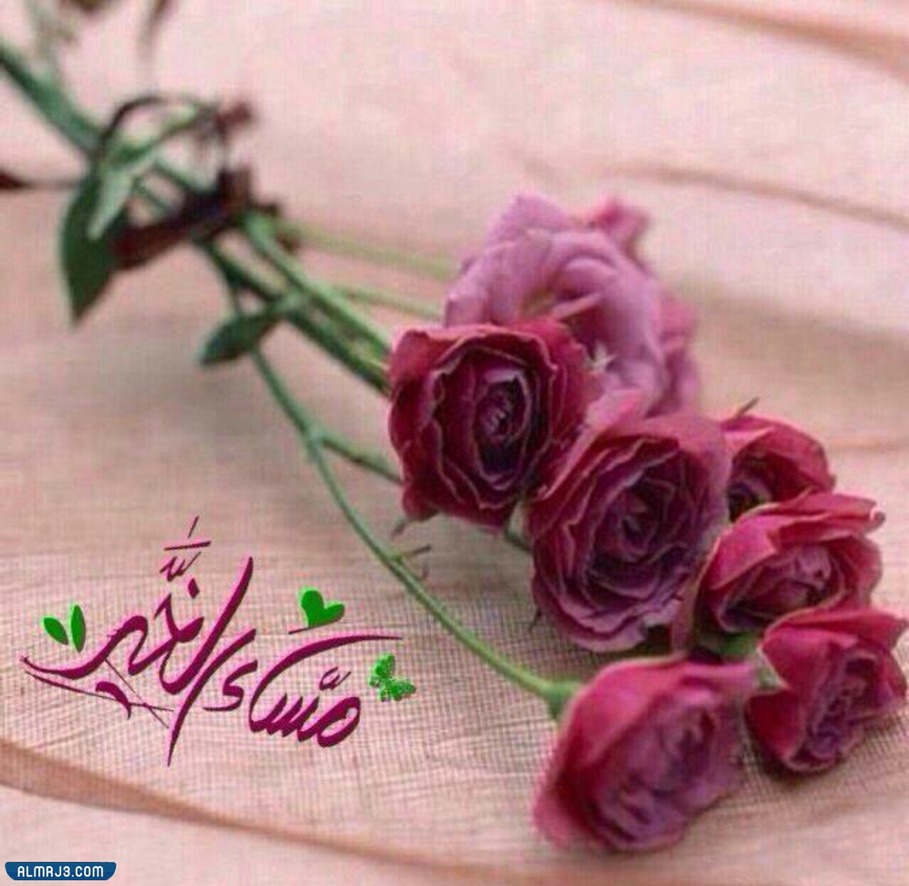 اجمل الصور صباح ومساء الخير