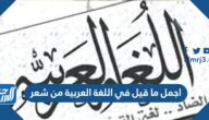اجمل ما قيل في اللغة العربية من شعر