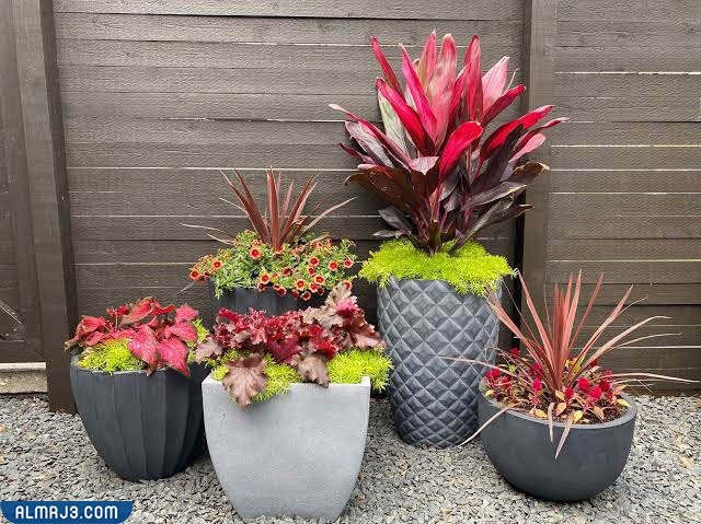 استخدام الحاويات