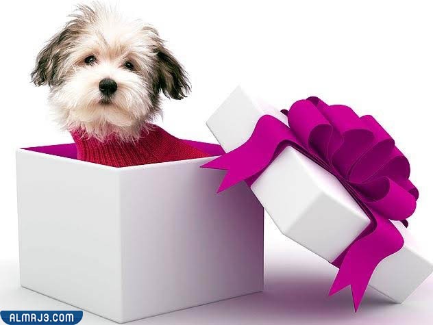 افكار هدايا غير تقليدية للرجال