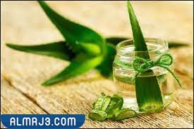 جلّ الصبار (الألوفيرا)