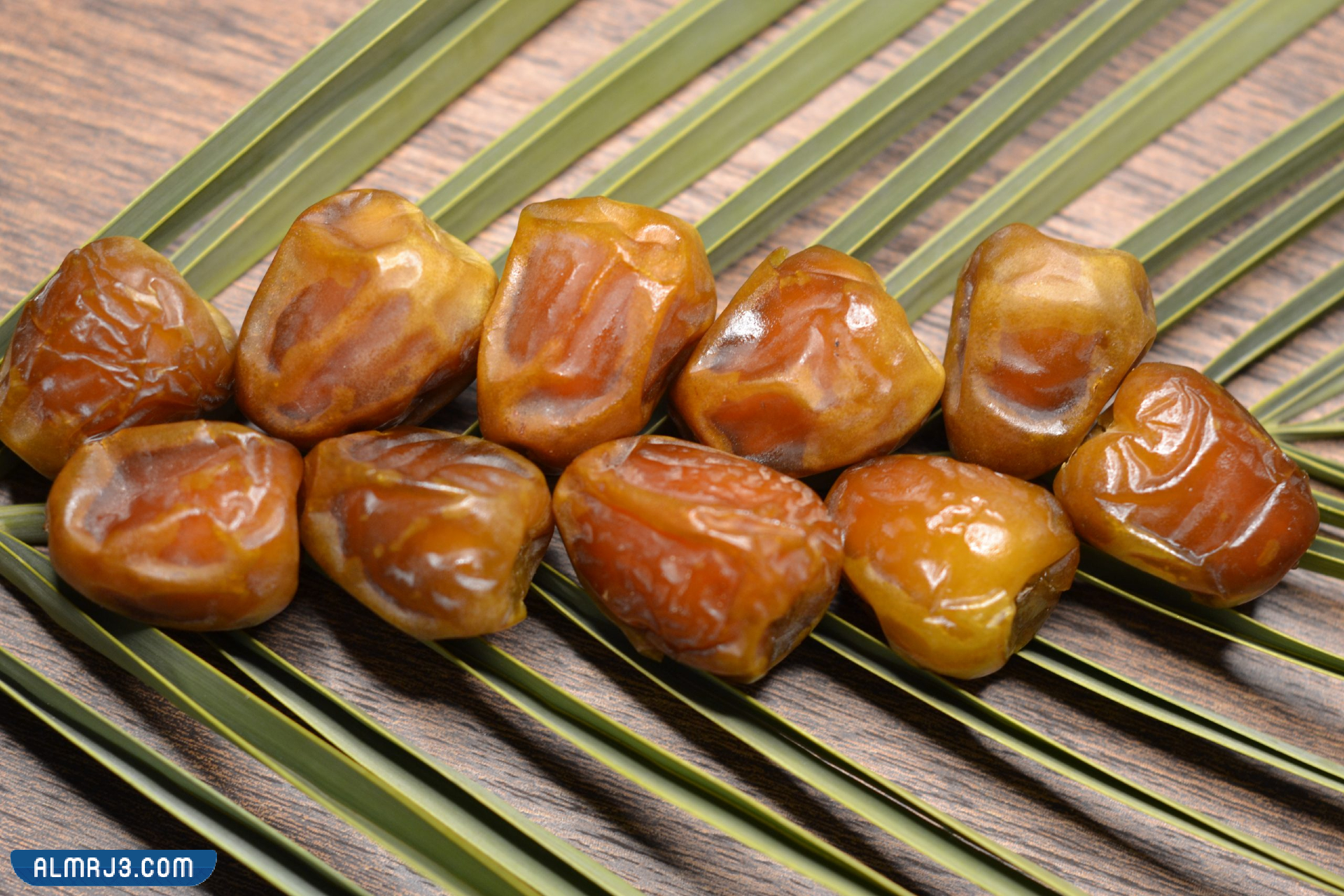 أشهر تمور المنورة والأحساء. المدينة والقصيم من في التمور المملكة Munwra Dates