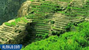 الجبل الأخضر - أماكن السياحة والاستجمام في دولة عُمان