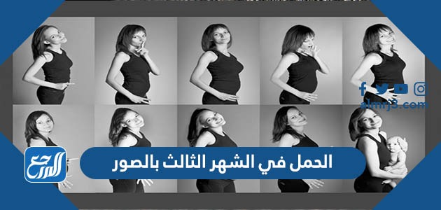 إزالة العنصر: تغيرات تطرأ على الحامل والجنين في الشهر الثالث تغيرات تطرأ على الحامل والجنين في الشهر الثالث