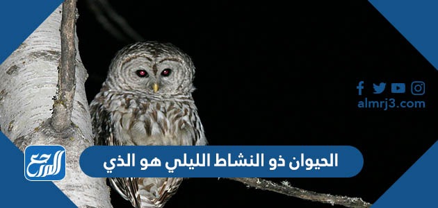 الحيوان ذو النشاط الليلي هو الذي