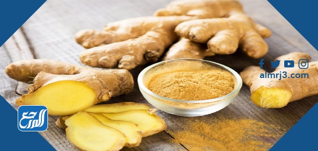 الزنجبيل لتنزيل الدورة