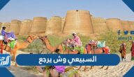 السبيعي وش يرجع ، أصل عائلة السبيعي من وين