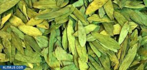 السنامكي سيان