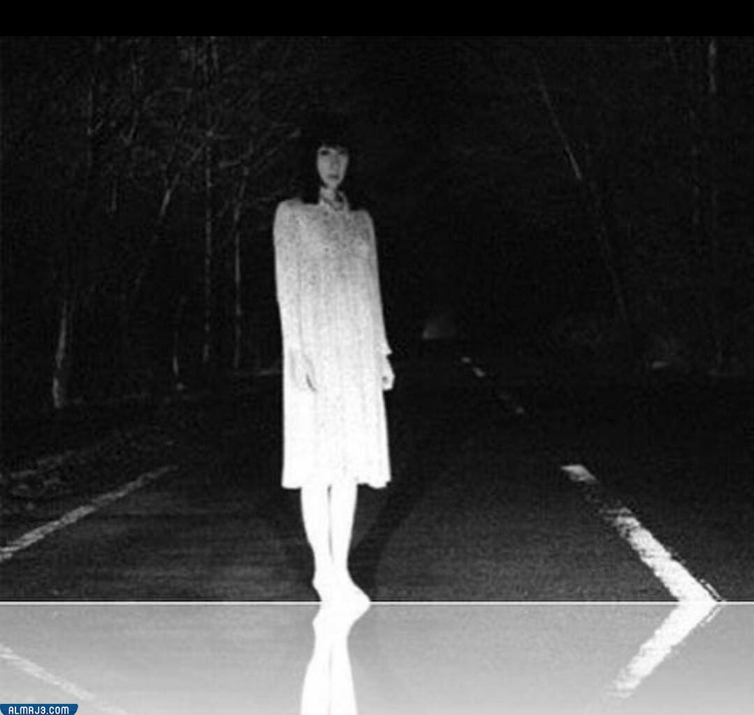 السيرة الذاتية تريزا فيدالجو