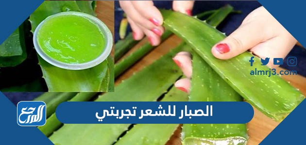 الصبار للشعر تجربتي