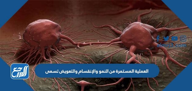 العملية المستمرة من النمو والانقسام والتعويض تسمى