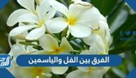 الفرق بين الفل والياسمين