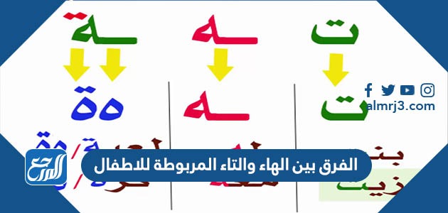 الفرق بين الهاء والتاء المربوطة للاطفال
