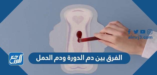 الفرق بين رائحة دم الدورة ودم الحمل