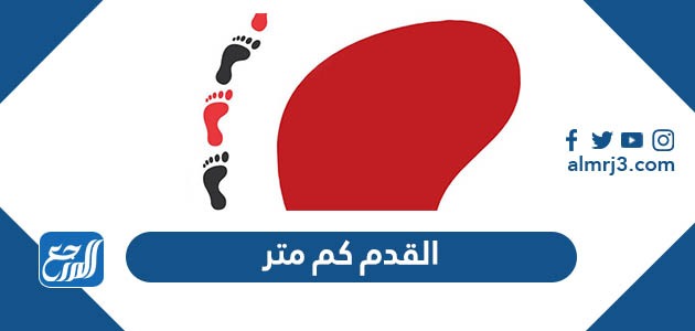 القدم كم متر